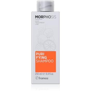 Framesi Morphosis Purifying čistiaci šampón proti lupinám 250 ml