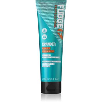 Fudge Care Xpander regeneračný šampón pre poškodené a krehké vlasy 250 ml