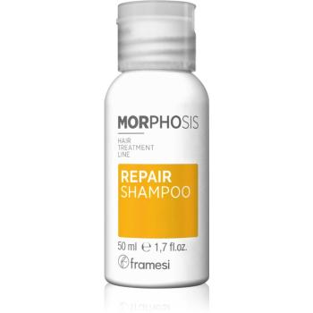Framesi Morphosis Repair vyživujúci šampón pre obnovu a posilnenie vlasov 50 ml