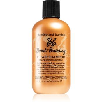 Bumble and Bumble Bb.Bond-Building Repair Shampoo obnovujúci šampón na každodenné použitie 250 ml
