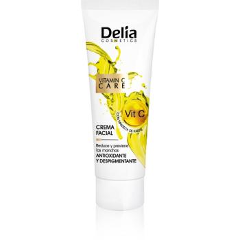 Delia Cosmetics Vitamine C + vyživujúci antioxidačný krém 50 ml