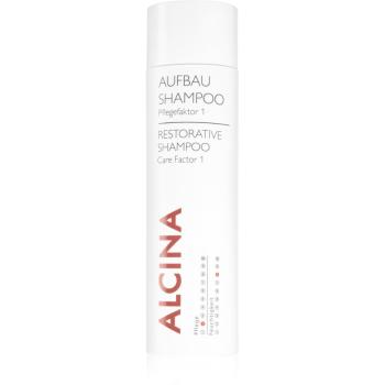 Alcina Dry and Damaged Hair regeneračný šampón na každodenné použitie 250 ml