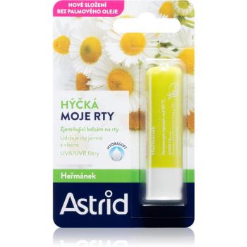Astrid Lip Care harmančekový balzam na suché a citlivé pery s regeneračným účinkom 4.8 g
