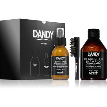 DANDY Beard gift box darčeková sada