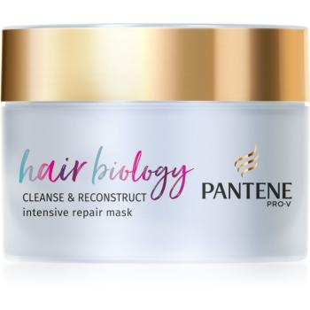 Pantene Hair Biology Cleanse & Reconstruct maska na vlasy pre poškodené vlasy 160 ml