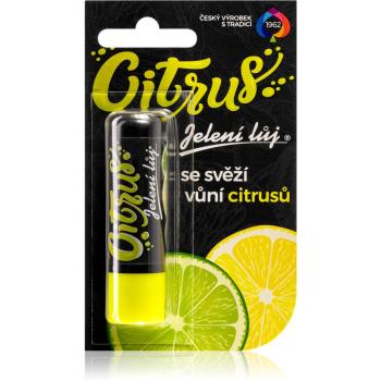 Regina Citrus jelení loj citrus 4.5 g