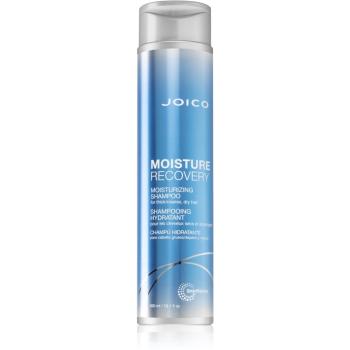 Joico Moisture Recovery hydratačný šampón pre suché vlasy 300 ml