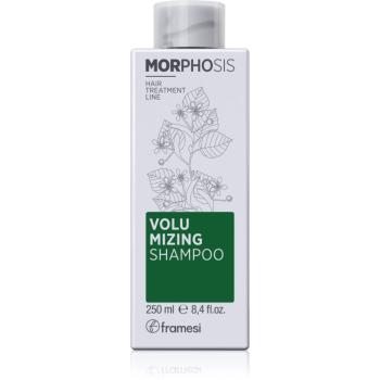 Framesi Morphosis Volumizing objemový šampón pre krehké vlasy 250 ml