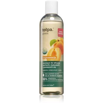 Tołpa Green Regeneration šampón pre suché a matné vlasy 300 ml