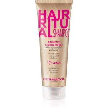 Dermacol Hair Ritual obnovujúci šampón pre hnedé odtiene vlasov 250 ml