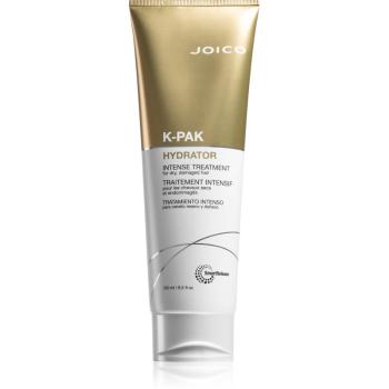 Joico K-PAK Hydrator vyživujúci kondicionér pre poškodené vlasy 250 ml