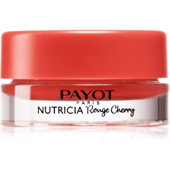 Payot Nutricia Rouge Cherry intenzívny vyživujúci balzam na pery odtieň Rouge Cherry 6 g