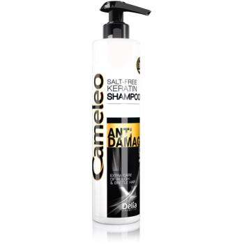 Delia Cosmetics Cameleo BB keratínový šampón pre poškodené vlasy 250 ml