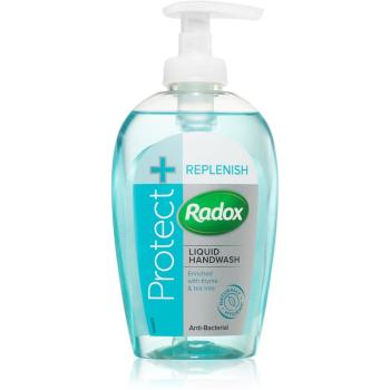 Radox Protect + Replenish tekuté mydlo s antibakteriálnou prísadou 250 ml