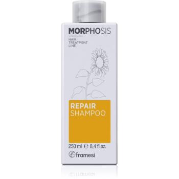 Framesi Morphosis Repair vyživujúci šampón pre obnovu a posilnenie vlasov 250 ml