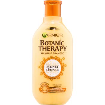 Garnier Botanic Therapy Honey obnovujúci šampón pre poškodené vlasy 400 ml