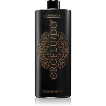 Orofluido Beauty kondicionér pre všetky typy vlasov 1000 ml