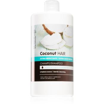 Dr. Santé Coconut hydratačný šampón pre suché a slabé vlasy 1000 ml