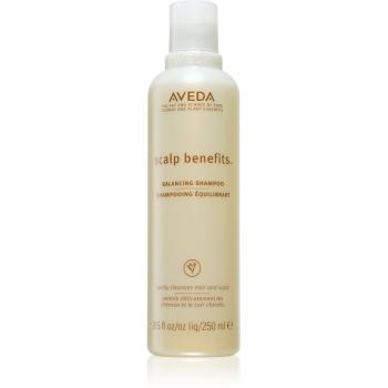 Aveda Scalp Benefits™ Balancing Shampoo výživný šampón pre zdravú pokožku hlavy 250 ml