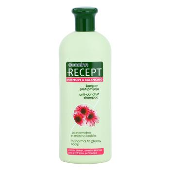 Subrina Professional Recept Intensive & Balancing šampón proti lupinám pre normálne až mastné vlasy Echinacea 400 ml