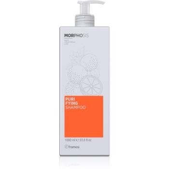 Framesi Morphosis Purifying čistiaci šampón proti lupinám 1000 ml
