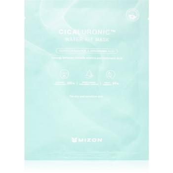 Mizon Cicaluronic™ hydratačná plátienková maska pre suchú až citlivú pleť 24 g