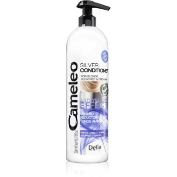 Delia Cosmetics Cameleo šampón pre blond a šedivé vlasy 500 ml