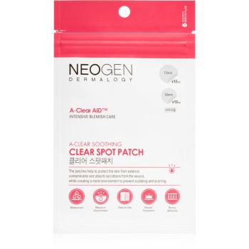 Neogen Dermalogy A-Clear Soothing Spot Patch čistiaca náplasť na aknóznu pleť 24 ks