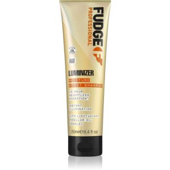 Fudge Care Luminizer hydratačný šampón pre ochranu farby pro farbené a poškodené vlasy 250 ml
