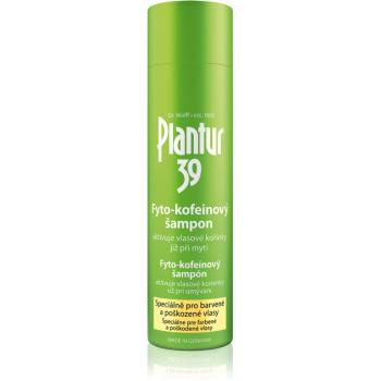 Plantur 39 kofeínový šampón pro farbené a poškodené vlasy 250 ml