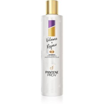 Pantene Volume + Repair šampón pre objem jemných vlasov 250 ml
