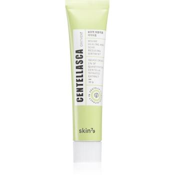 Skin79 Centellasca Ointment relipidačná upokojujúca masť pre problematickú pleť, akné 15 g