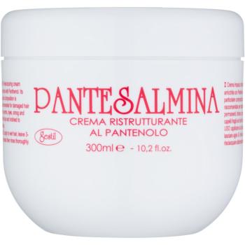 Gestil Pantesalmina hydratačný balzam pre jemné vlasy a poškodené vlasy 300 ml