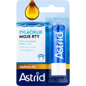 Astrid Lip Care intenzívne ošetrujúci balzam na pery s jojobovým olejom (Sunflower Oil, Vitamin E, UV Protection) 4.8 g