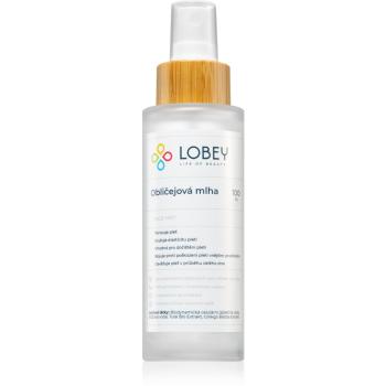 Lobey Skin Care tonizačná pleťová hmla 100 ml