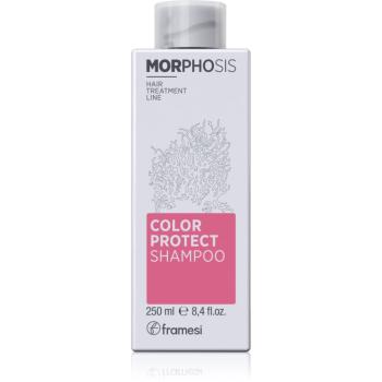 Framesi Morphosis Color Protect šampón na ochranu farby 250 ml