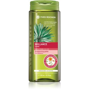 Yves Rocher Brillance čistiaci šampón na lesk a hebkosť vlasov 300 ml