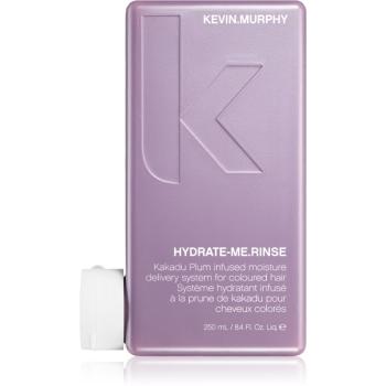 Kevin Murphy Hydrate - Me Rinse hydratačný kondicionér pre normálne až suché vlasy 250 ml