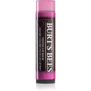 Burt’s Bees Tinted Lip Balm balzam na pery odtieň Sweet Violet 4.25 g