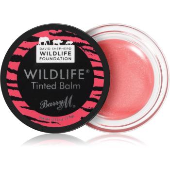 Barry M Wildlife tónujúci balzam na pery odtieň Sunset Pink 3.6 g