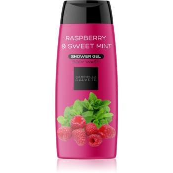 Gabriella Salvete Raspberry & Sweet Mint osviežujúci sprchový gél pre ženy 250 ml