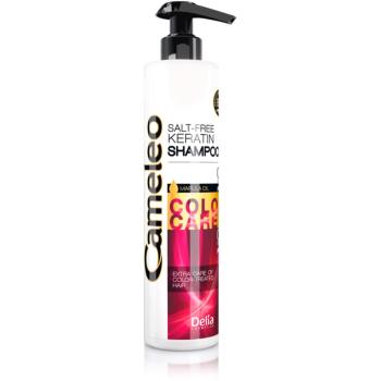 Delia Cosmetics Cameleo BB keratínový šampón pre farbené a melírované vlasy 250 ml