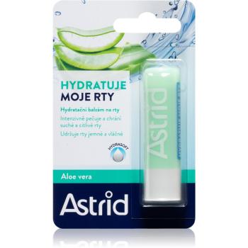 Astrid Lip Care hydratačný balzam na pery s aloe vera 4.8 g