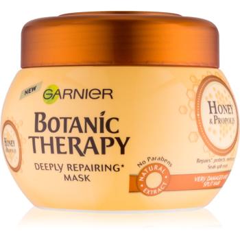 Garnier Botanic Therapy Honey obnovujúca maska pre poškodené vlasy 300 ml