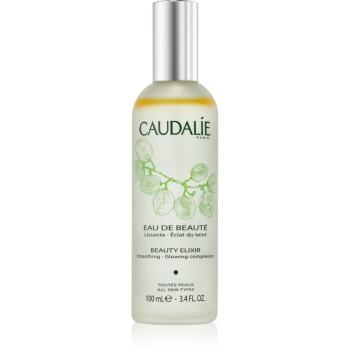 Caudalie Beauty Elixir skrášľujúci elixír pre žiarivý vzhľad pleti 100 ml