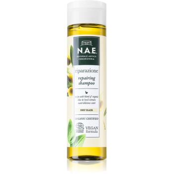 N.A.E. Riparazione regeneračný šampón pre suché vlasy 250 ml