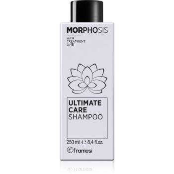 Framesi Morphosis Ultimate Care revitalizačný šampón 250 ml