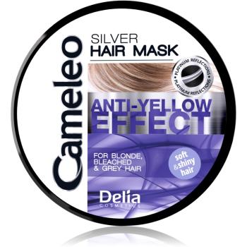 Delia Cosmetics Cameleo Silver maska na vlasy neutralizujúci žlté tóny 200 ml