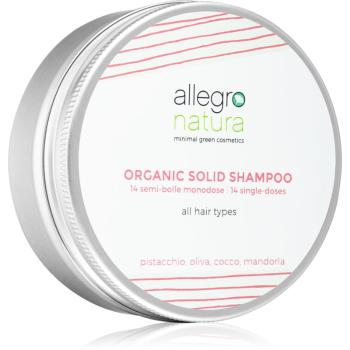 Allegro Natura Organic tuhý šampón 80 ml