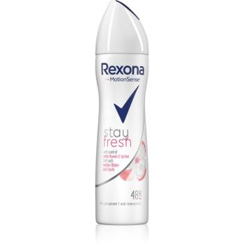 Rexona Stay Fresh White Flowers & Lychee antiperspirant v spreji 48h 150 ml